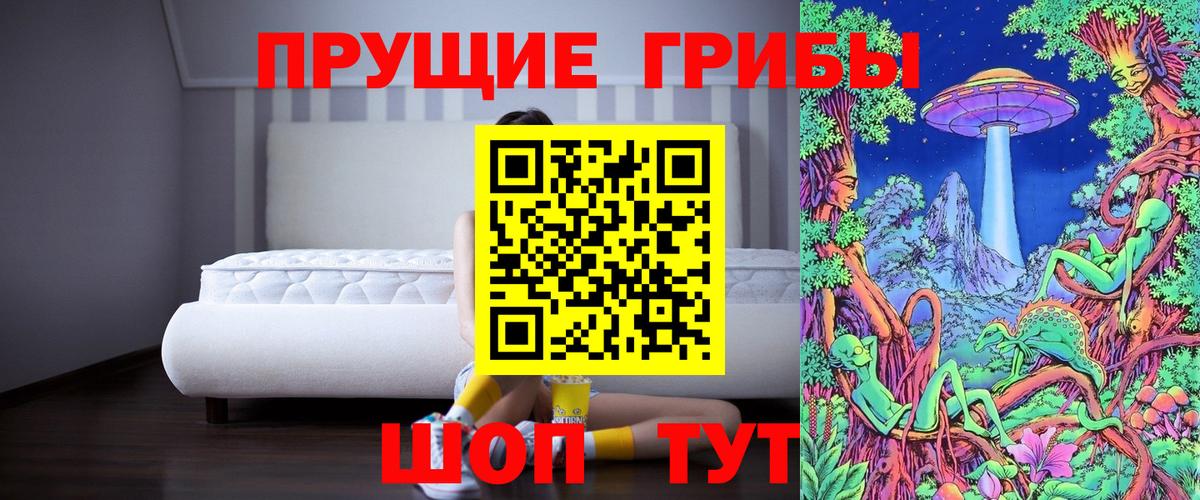 Похвистнево  Псилоцибиновые грибы Magic Shrooms  Вход с VPN  Галлюциногенные грибы GOLDEN TEACHER 